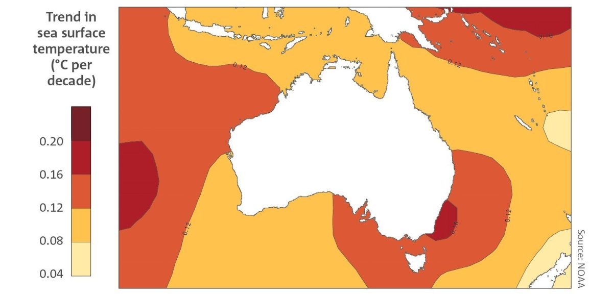 Ocean surface temperature has warmed between 1950 and 2021 with the greatest ocean warming occurring off southeast Australia (Bureau of Meteorology ©BOM)