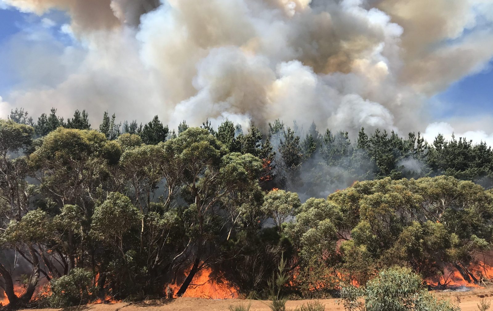 Kangaroo Island Bushfires