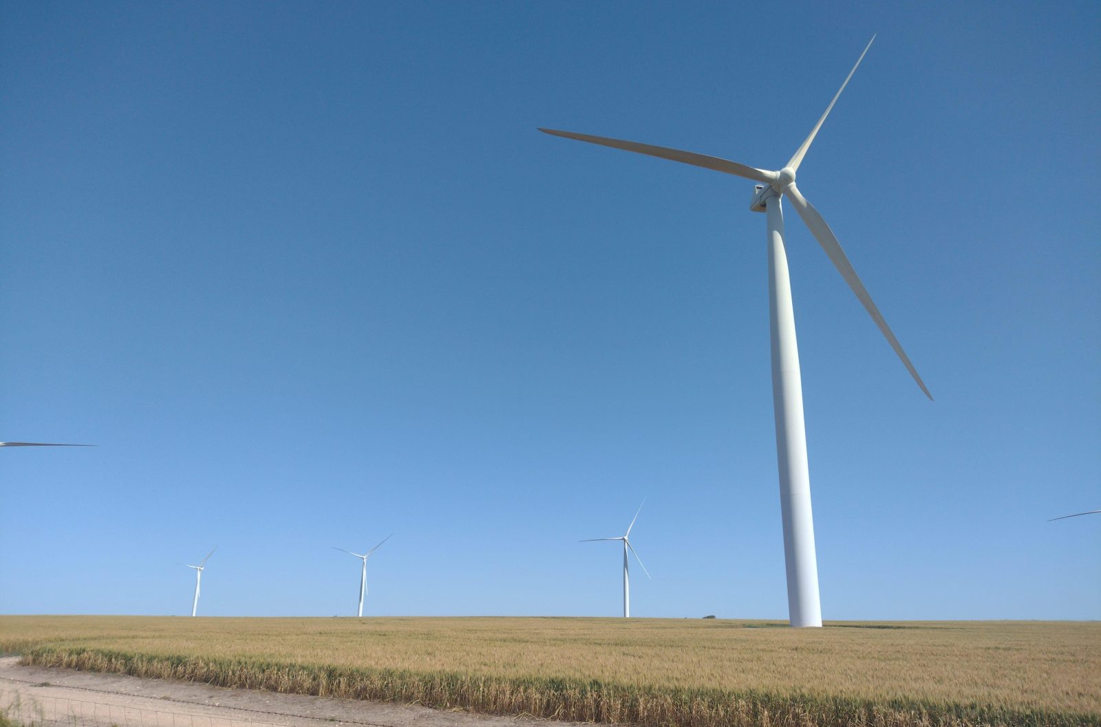 Wind turbines over grain fields